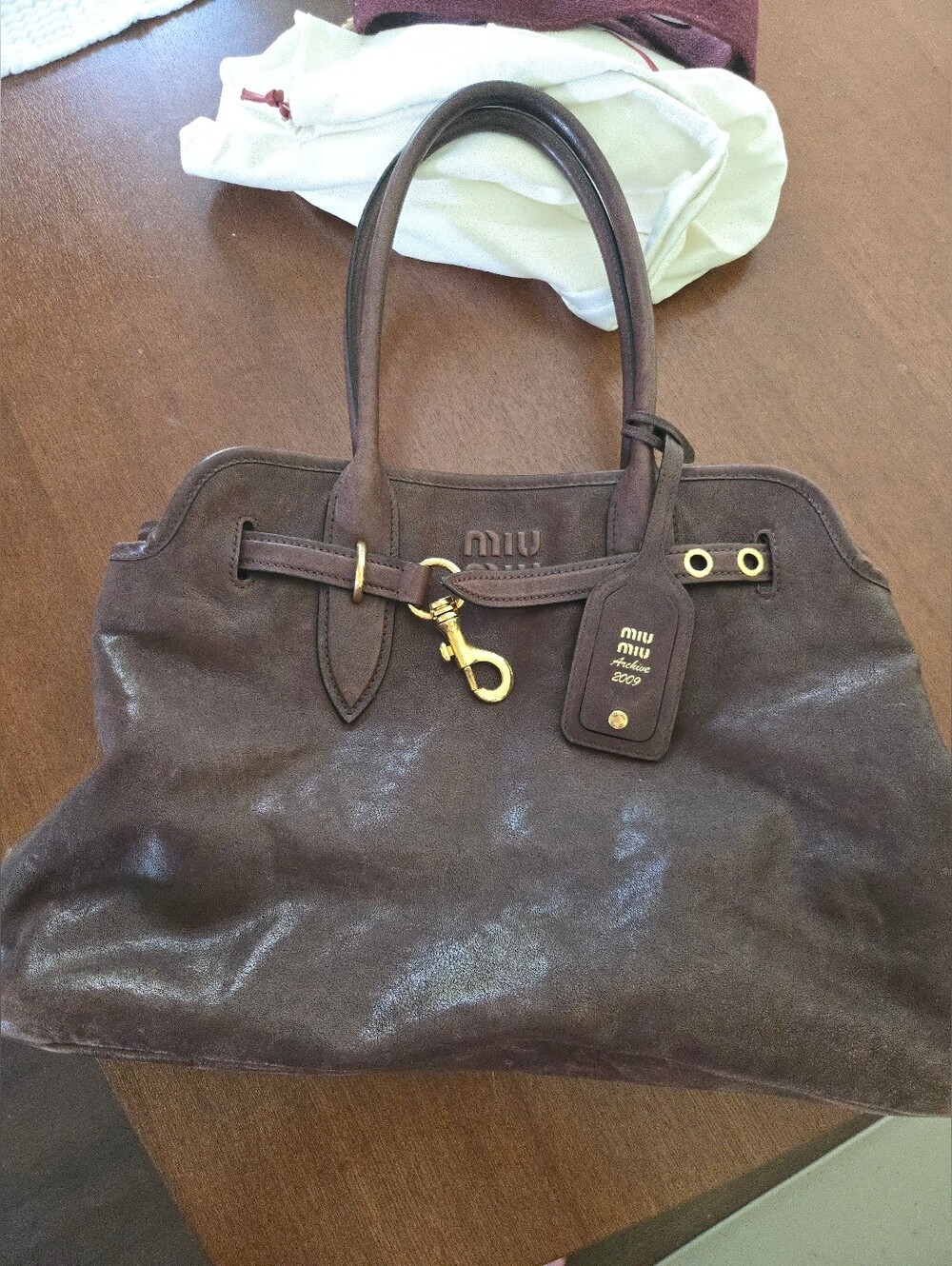Miu Miu Aventure - Medium - Briarwood - Picture 13 of 14